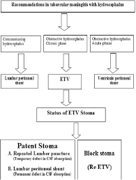 Role Of Endoscopic Third Ventriculostomy In Tuberculous