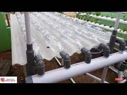 Hydroponik Sistem Dft Dari Botol Mineral Bekas Youtube Hydroponics Aquaponics Hydroponics Diy