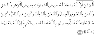 Uncle chai juga percaya masih ramai yang jahil seperti uncle chai dulu tentang adab serta bacaan semasa sujud sajadah. Https Bintisumayyah Blogspot Com 2012 11 Bacaan Sujud Sajadahtilawah Html