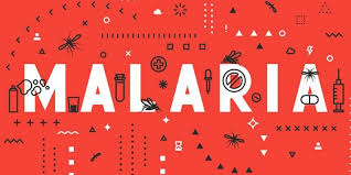 Hasil gambar untuk malaria