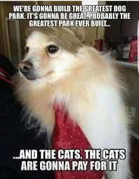 The Great Wall Brought To You By Trump Dog And His Cat Posse Minions Funny Funny Minion Memes Funny Animal Pictures