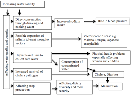 Flow Chart Showing Health Risks Of Water Salinity Source