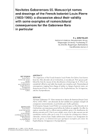 Image result for Mildbraedia carpinifolia