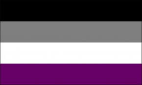 Hey y'all can we remember that the classic rainbow flag is for everybody in the lgbtq+? Lgbtqia Identity Flags Millersville University