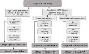 Deviantart is where art and community thrive. A Rare Missense Variant Of Casp7 Is Associated With Familial Late Onset Alzheimer S Disease Zhang 2019 Alzheimer S Amp Dementia Wiley Online Library