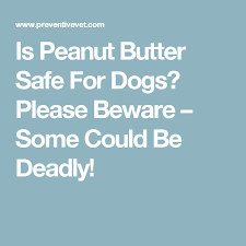 What Kind Of Peanut Butter Is Safe For Dogs Peanut Butter Brands Butter Brands Peanut Butter