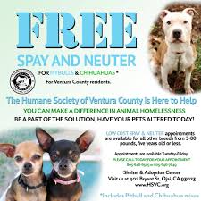 Where do you need the cat boarding? Free Spay And Neuter Appointments Available Humane Society Of Ventura County