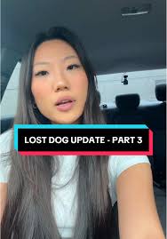Lost Dog Update: Miss Farty Pants Returns!