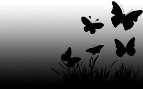 You can also upload and share your favorite black butterfly backgrounds. Black Butterfly Wallpapers Wallpaper Cave