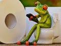 Comment Deboucher Un Siphon De Douche Ou D Evier Sans Produit Chimique Rainette Grenouille Grenouille Art Grenouille