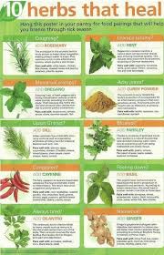 Pin By Suzanne Lehr On Who Knew Healing Herbs Herbs Natural Health Remedies