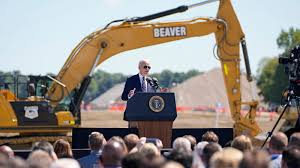 Image result for Bidens elliotii