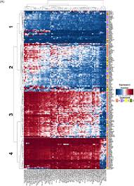 Check spelling or type a new query. Dissecting Autism Genetic Risk Using Single Cell Rna Seq Data Biorxiv