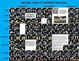 Dumbbell Exercise Poster Large Periodic Table Of Dumbbell Exercises By Stack 52 Video Instructions Included For Training With Adjustable Free Weight Sets Dumbbell Workout Dumbell Workout At Home Workouts