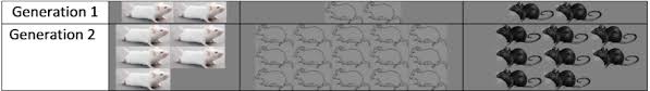 To find out how it works, imagine a population of beetles: 8 1 Natural Selection Protocol Biology Libretexts