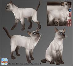 Character Artist Illustration Character Design Low Poly Art 3d Character