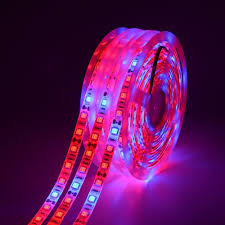 Led Grow Light Full Spectrum Strip 5050 Lamp Plant Waterproof 5m Hydroponic Home Ebay