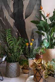 Given the name of the following countries, it's up to you to pick the continent the country is in. Houseplant Travel To South Africa