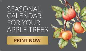 Fruit trees for sale wisconsin. Wisconsin Fruit Trees Albrecht S Nursery Orchard