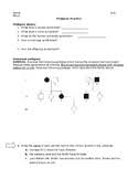 Pedigree practice worksheets & teaching resources | tpt. Pedigree Practice Worksheet Teachers Pay Teachers