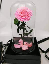 We did not find results for: Wholesale Forever Roses In Glass Dome Preserved Roses Flowers From Yunnan Buy Forever Roses Preserved Roses Flowers Preserved Roses In Glass Dome Product On Alibaba Com