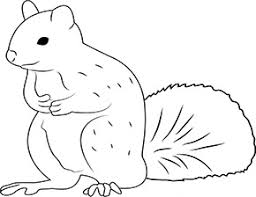 Pin Auf Ausmalbilder Zootiere