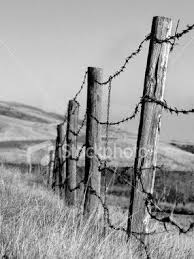 Check spelling or type a new query. Pin By Carin Menzie On Drawing Painting Landscape Pencil Drawings Barbed Wire Pictures To Paint