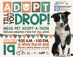 You'll be healthier and fitter—and you'll have less stress throughout your days. Area Animal Shelters Partner For Adopt Til You Drop Mega Adopt A Thon At White Marsh Mall The Humane Society Of Harford County