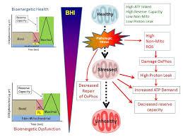 From The Seahorse To Me Cfs How An Alabama Energy