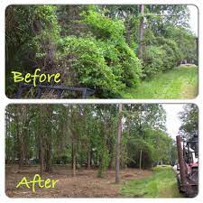 Alternative Brush Clearing Llc Land Clearing Clearing Brush Yard Work