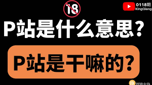 P站是什么？如何上P站？老司机说的P站怎么进？ - 红杏出海