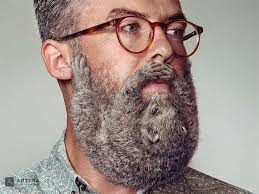 Beards shaped like animals trend 📸 by Troy Goodall Photography