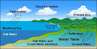 Science Hydrologic Cycle More