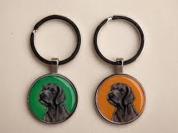 Image result for slovenský ohař hrubosrstý