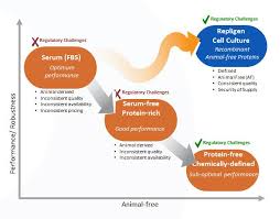 Jul 01, 2018 · media development has been the most important aspect of cell culture development and optimization since the beginning of biomanufacturing. Growth Factors Repligen