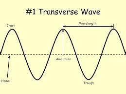 Like transverse waves, longitudinal waves are mechanical waves, which means they transfer energy through a medium. Characteristics Of Longitudinal And Transverse Waves Class 11 Physics Topic 4 Oscillations And Waves Dominik R And The Essential Characteristic Of A Longitudinal Wave That Distinguishes It From Other