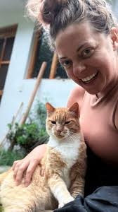 Fairbanks housesitter available for hire