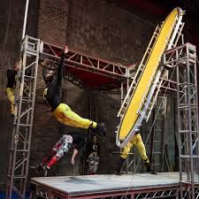 Image result for Streblochaete