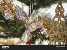 Unfollow christmas tree decorations bird to stop getting updates on your ebay feed. Christmas Tree Bird Image Photo Free Trial Bigstock
