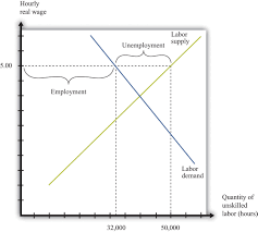 the effects of a minimum wage