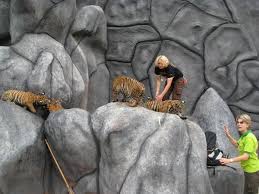 Catch a tiger by the toe. Catch A Tiger By Its Toe Photo
