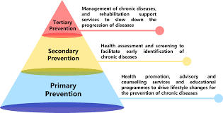 Some primary care doctors focus on caring for older adults. What Is Primary Healthcare