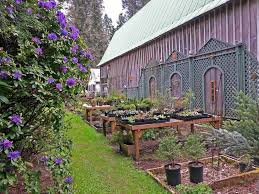 Top 10 landscapers in woodinville, wa. Nursery