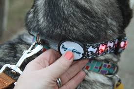 Mingus Dottie Try It Dog E Glow Led Leashes And Collars