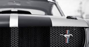 Stang Mustang Cars Ford Mustang Mustang
