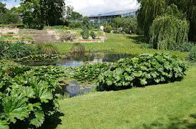 Wohnung rostock garten ab 200 €, 2 zimmer wohnung mit separaten eingang und eigenem garten. Quermania Botanischer Garten Universitat Rostock Historische Parkanlage