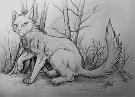 Warriors Dawnpelt By Marshcold Deviantart Com On Deviantart Warrior Cats Warrior Cats Art Warrior Cat Drawings