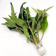 Image result for Dichaetanthera corymbosa