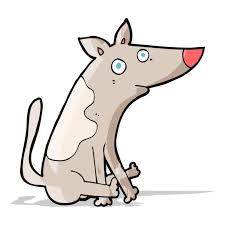 7 Simple Home Remedies For Dog Scooting Patchpuppy Com