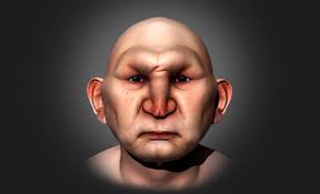 Give me any upgrade options, my buddy for attention